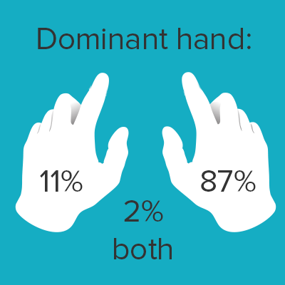 Survey results visualization. Screenshot.